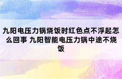 九阳电压力锅烧饭时红色点不浮起怎么回事 九阳智能电压力锅中途不烧饭